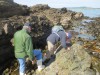 Avoiding slippery heavy kelp