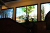 Tiffany murals in Gadsden Hotel