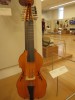 bowed and plucked lute
